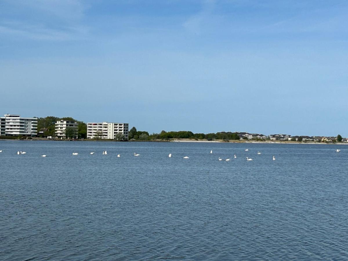 Wasserblick, In 3 Min Am Strand Heiligenhafen Dış mekan fotoğraf